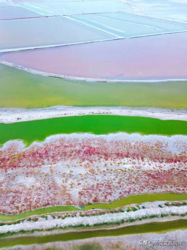 低调的财富绿洲：解锁鄂尔多斯的秘境之旅