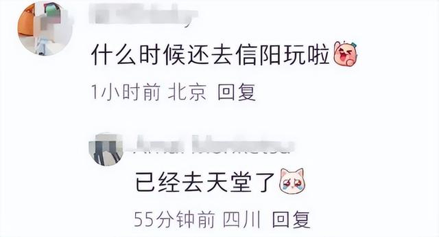 娱乐圈传来噩耗！曝2000万粉丝男演员坠楼身亡，爆料指向了于朦胧