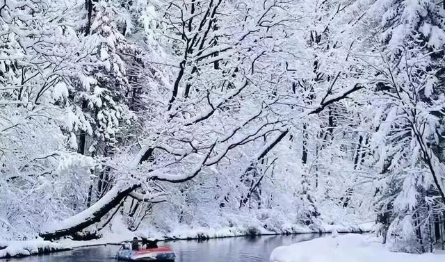 东北的冬天，除了雪花还有什么？去抚松找到满分答案
