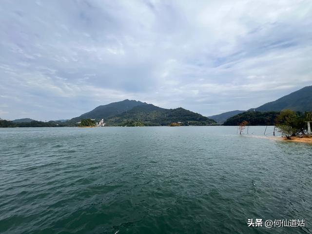 游流溪河森林公园