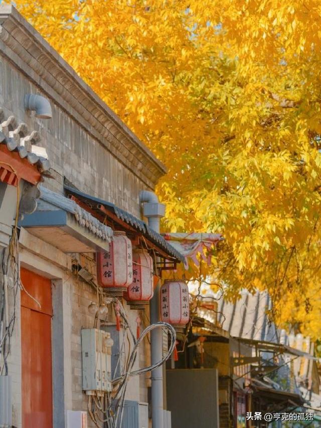 中国富人“第一城”：拥有152位身家超过50亿元的富豪,北京第几？