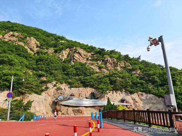大连海之韵公园·棒槌岛