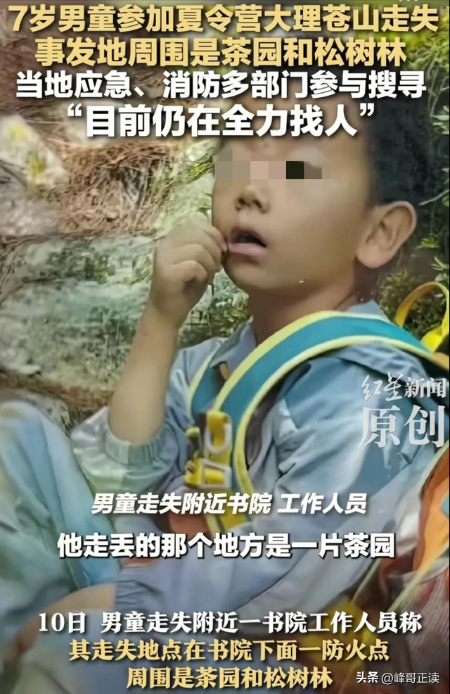 苍山自闭症男孩失联已3天：恶心一幕出现，更多人被无端质疑！