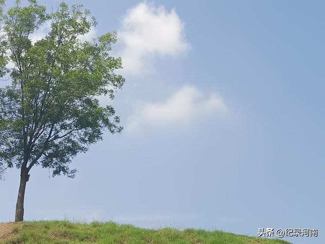 商丘黄河故道：生态画卷中的自然诗篇