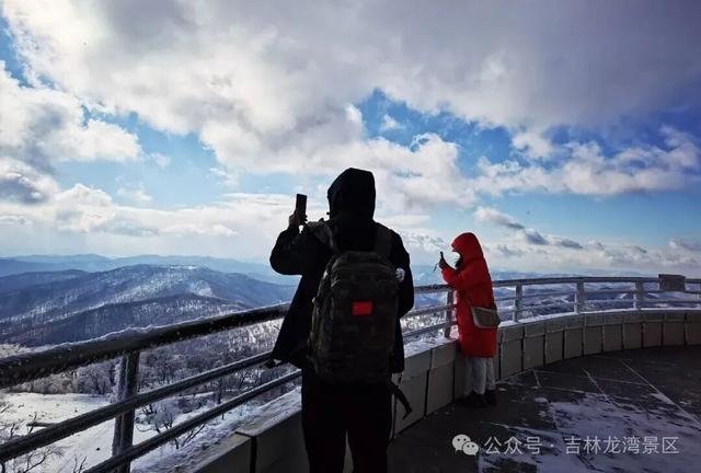 央视都来打卡！龙湾四方顶的玉树琼花，美成冰雪天花板
