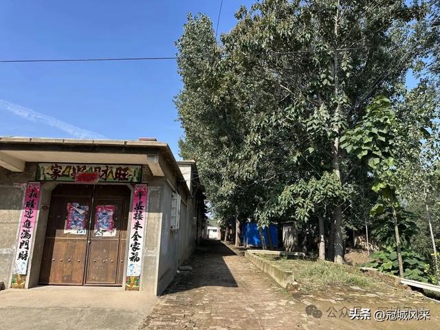 冠县乡韵·兰沃乡大柳邵村