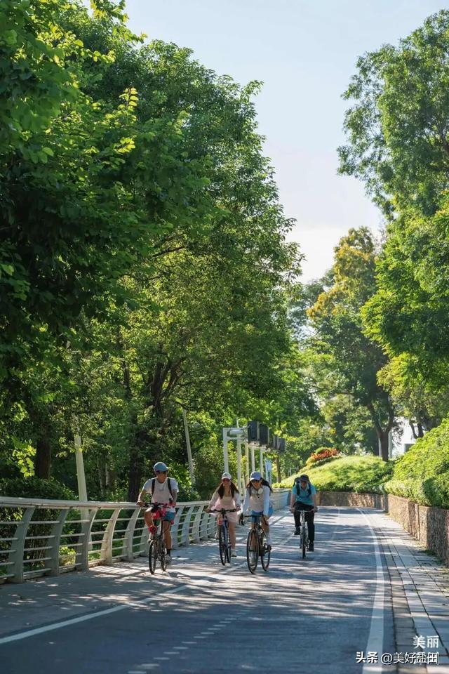 近千骑友盐田狂飙后，这份骑行指南藏不住了