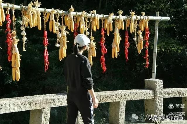 醉美林坑晒秋！这条连接两个避世古村落的省一级古道，周末可走起