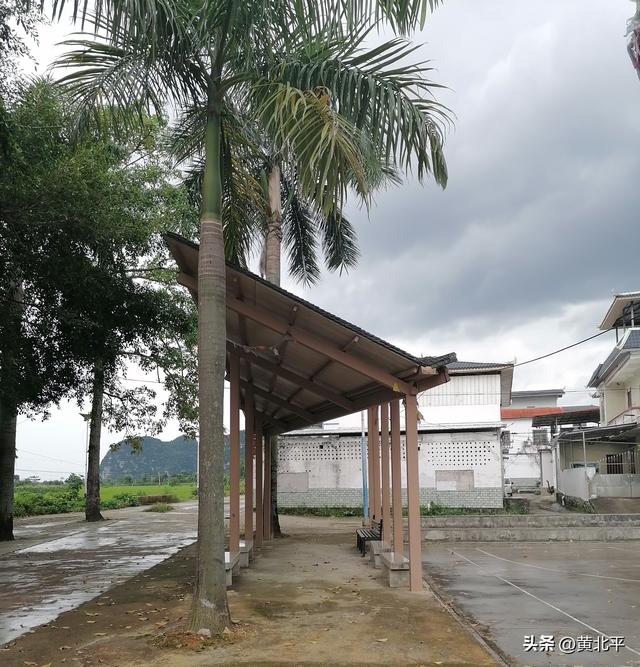 广西南宁市上林县白圩镇白马庄，先祖难道是山东青州府益都县？