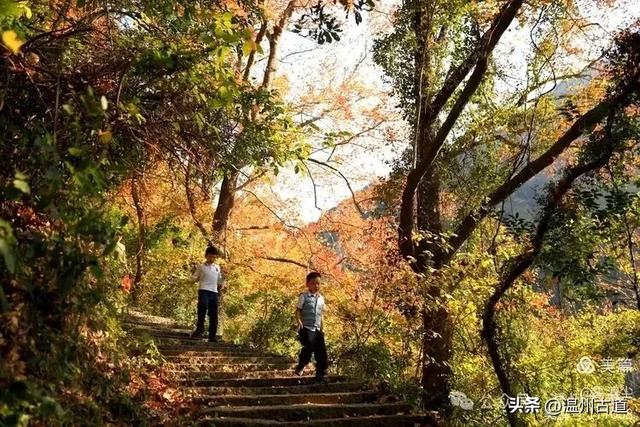 现场报道：这条离市区很近的著名红枫古道已枫情万种，徒步正当时