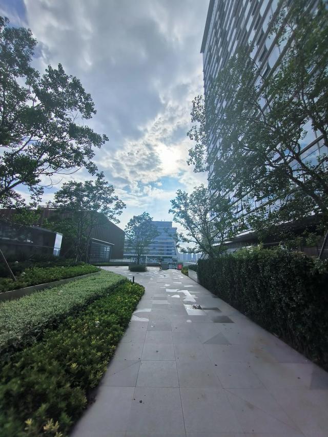 南京阿里巴巴中心金陵天地的屋顶花园