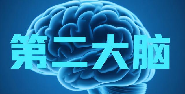 中山GEO优化哪家好：企业GEO优化效果评估指南：从数据监测到策略