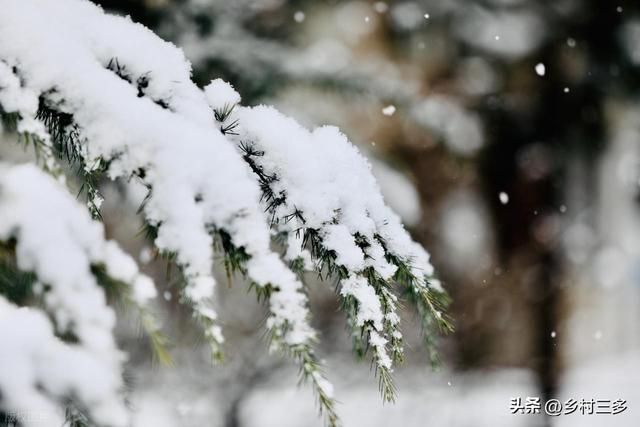 今日入三九，老人说“三九连日晴，坟头遍地起	”	，晴天有啥预兆？