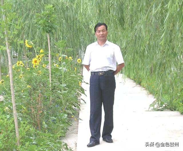 张军｜路过平原堡