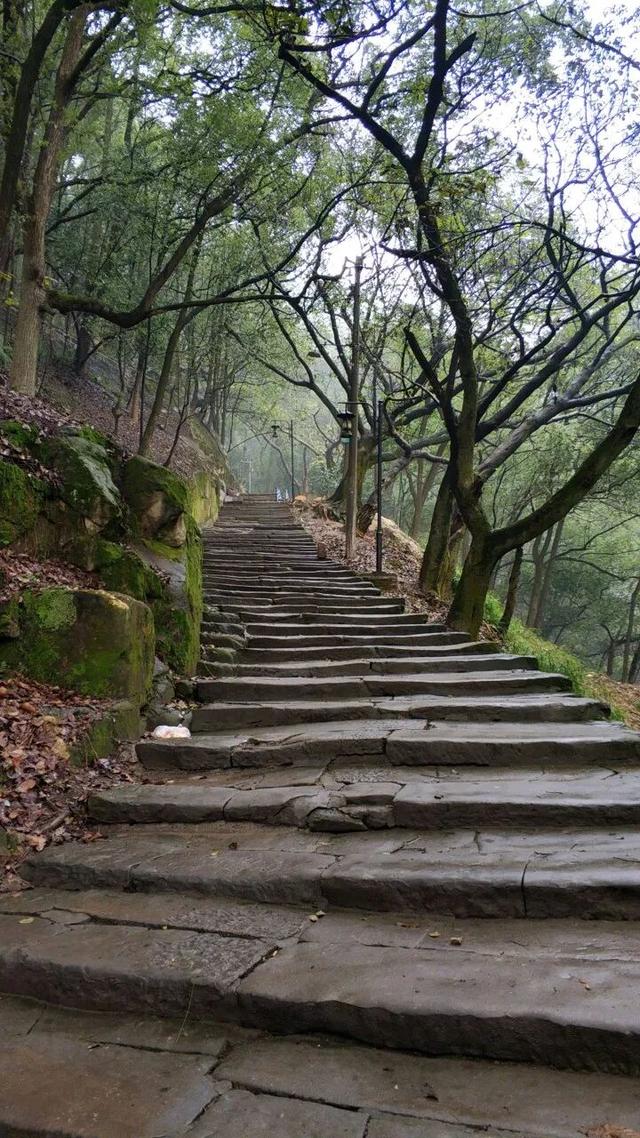 重庆南山被遗忘的千年古道，曾是重庆出川重要通道，如今成为秘境