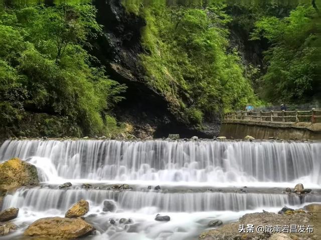 宕·寻22°的夏天！甘肃宕昌：药乡山水调出清凉康养“大处方”