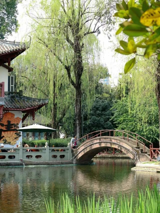 成都公园的中式美学也太绝了，这波必须狠狠夸！