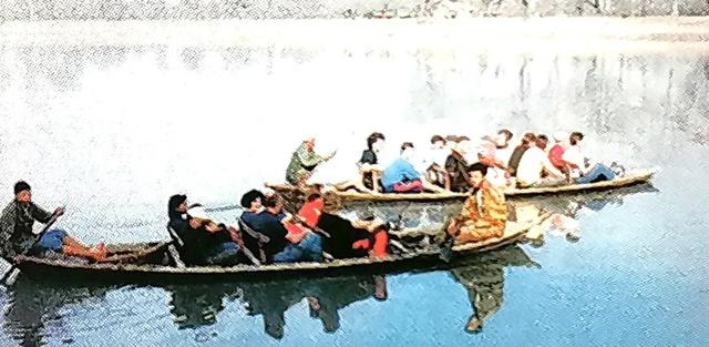 林中漫游——寻访野生动物