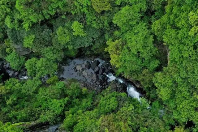 解锁牯牛降的文化密码 | 生态密码：绿色自然博物馆