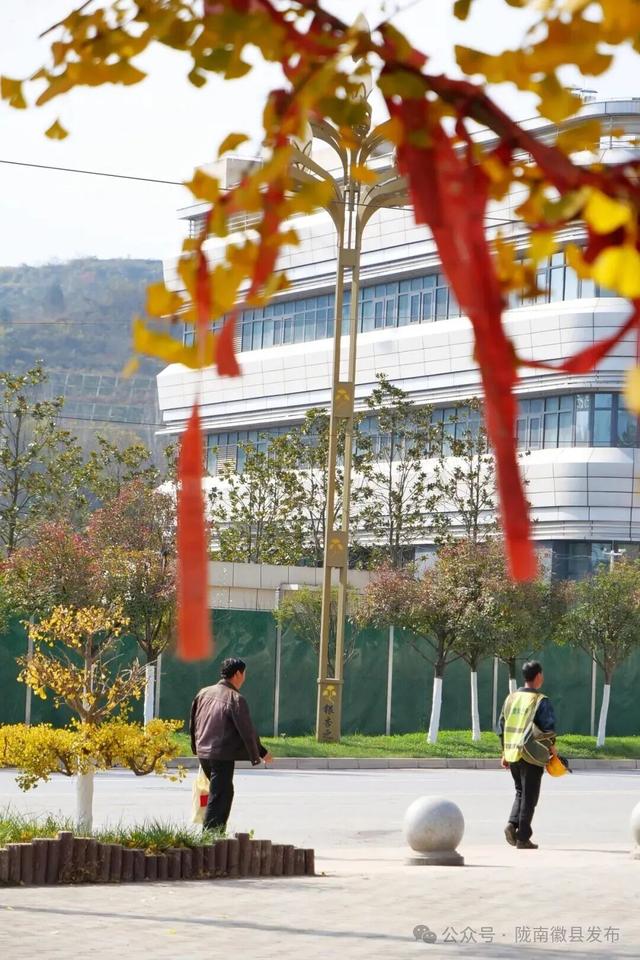 邂逅千年银杏，共赴一场时光之约