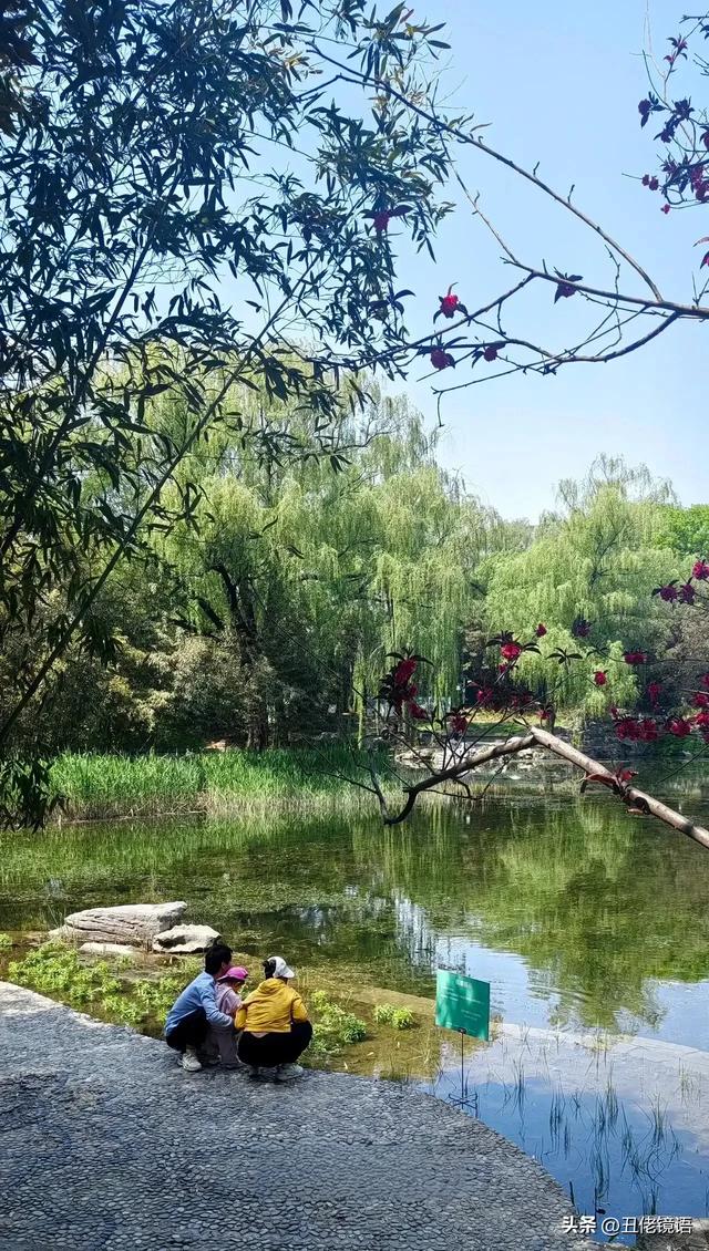 自拍影集（30）紫竹院公园风景绿水轻舟·上