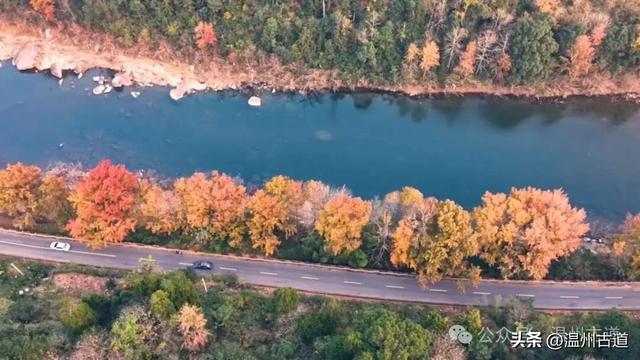收好这份温州《红枫古道地图》，挑个好天气出门走走！
