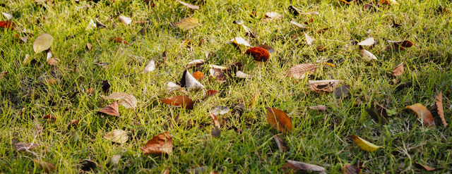 4个点位已公布！太仓人拍照请抓紧