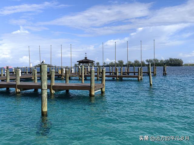 Wonder of the seas海洋奇迹号（5天4晚海上游轮）