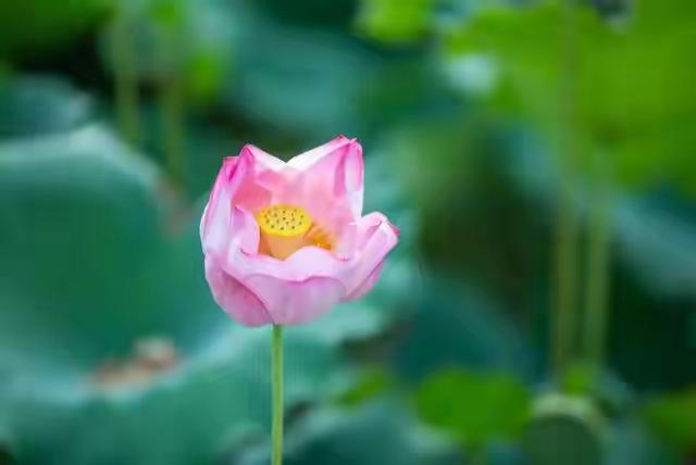 两性交往，要想刺激女人的荷尔蒙，只需记住这6点，绝对让她动心