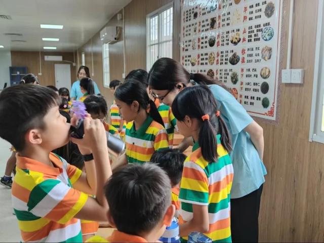 太惊喜！肇庆首届研学精品线路正式发布，每条都想打卡↘