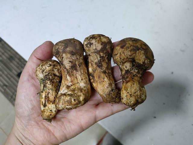 嘿，老两口晚餐就1碗，瞬间光盘，网友：奢侈！