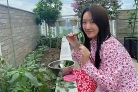 53岁杨钰莹：和母亲定居深圳，在豪宅种菜生活非常惬意 ​​​。图片