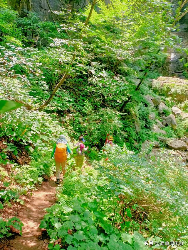 9）山西陵川三载后再赴南太行：18人战暑踏秘境，一程山水一程情