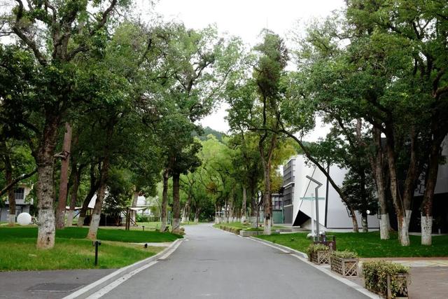 找到了浙江版“大鱼海棠”，人少景美饭好吃！