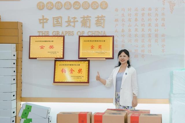 西安高新区葡萄采摘攻略：邂逅田园美味，共赴甜蜜之约