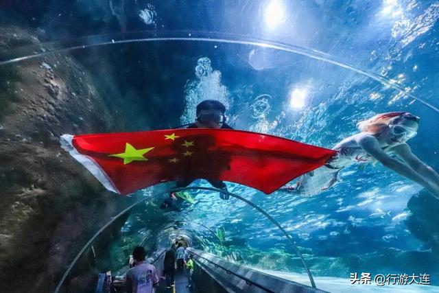 大连国庆首日：活动燃！街区火！景点爆！文博热！