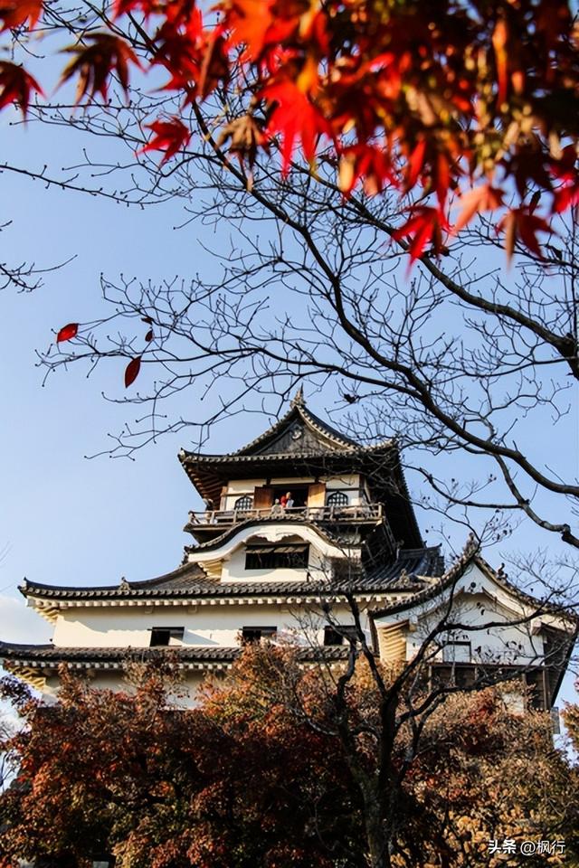 备受欧美游客喜欢的雪国，被我找到了