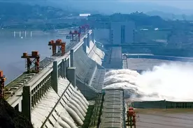 三峡大坝没有鱼梯，长江的洄游鱼类怎么办？鱼会被卷进发电机吗？图片