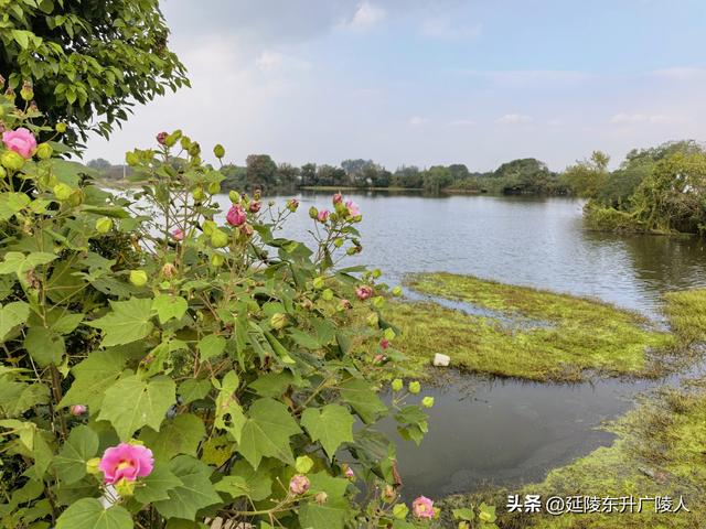 秋日午后 随意游逛丹阳皇塘镇