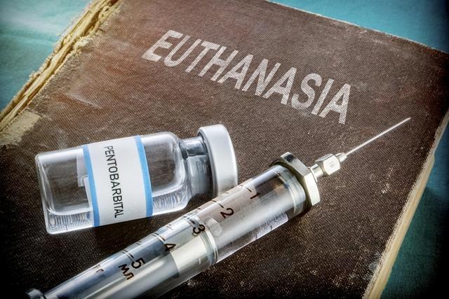 不用注重隐私，性交易合法，政府还给补贴，这一国家究竟有多开放