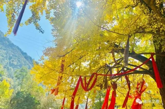 遇见金秋!来汉中,邂逅一场秋日山野浪漫之约!