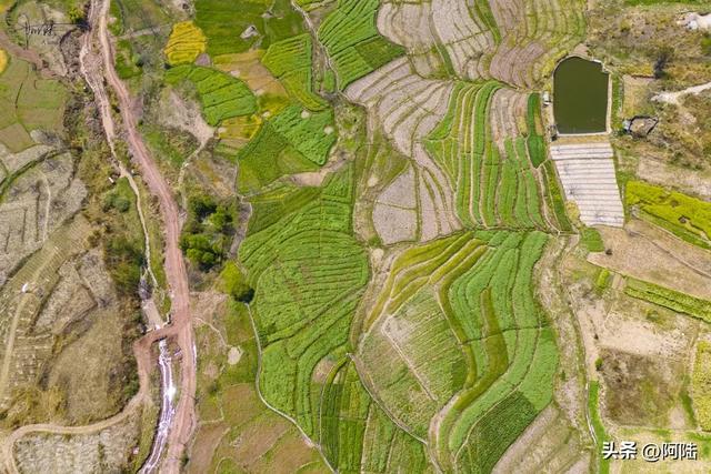 俯瞰大理郊外的乡村田园，胜似江南还多几分野性，美得让人心醉