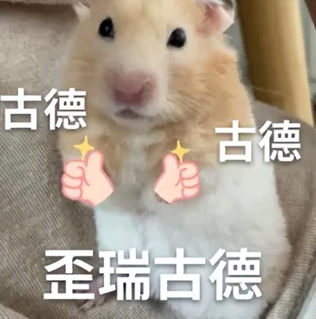 刚刚，百度健康推出7x24小时「能聊、有料、会管」AI管家