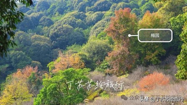 福州马拉松都下班了，爬鼓山还火到排队‼️福州鼓山登山路线攻略