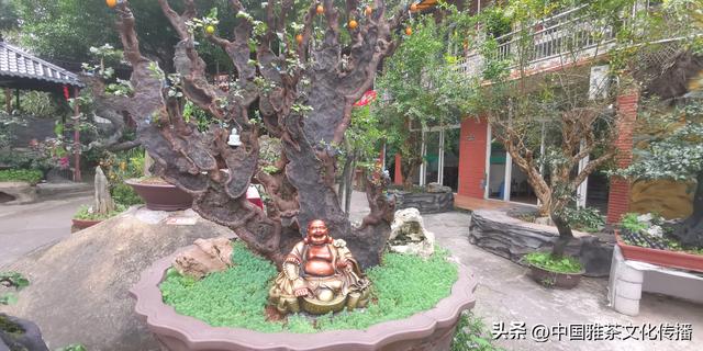 三江烟雨一壶茶