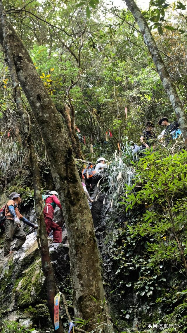 龙岩黄连盂徒步登山