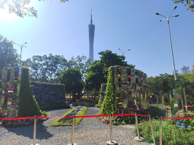 花城看花看灯饰