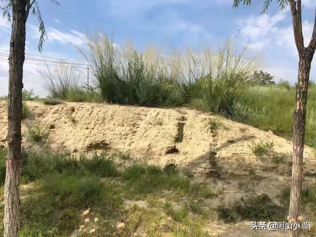 行走包头市昆都仑区战国赵北长城遗址公园