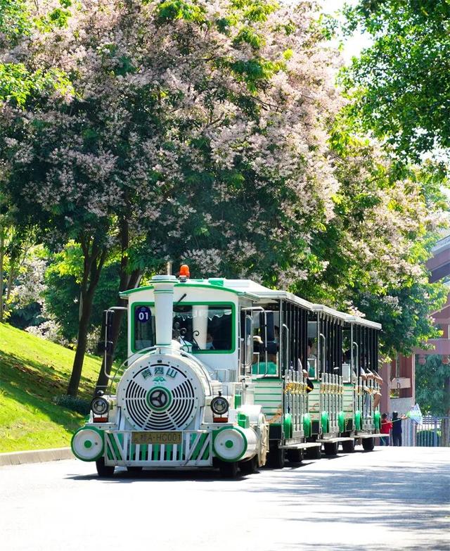 一半是安逸养老，一半是熬夜天堂！这座城冬天有鲜花，凌晨有人潮