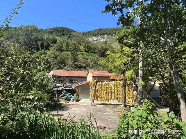 我，终于登上了岳阳山之巅！（博山登山记）